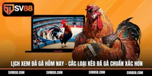 Xem Đá Gà
